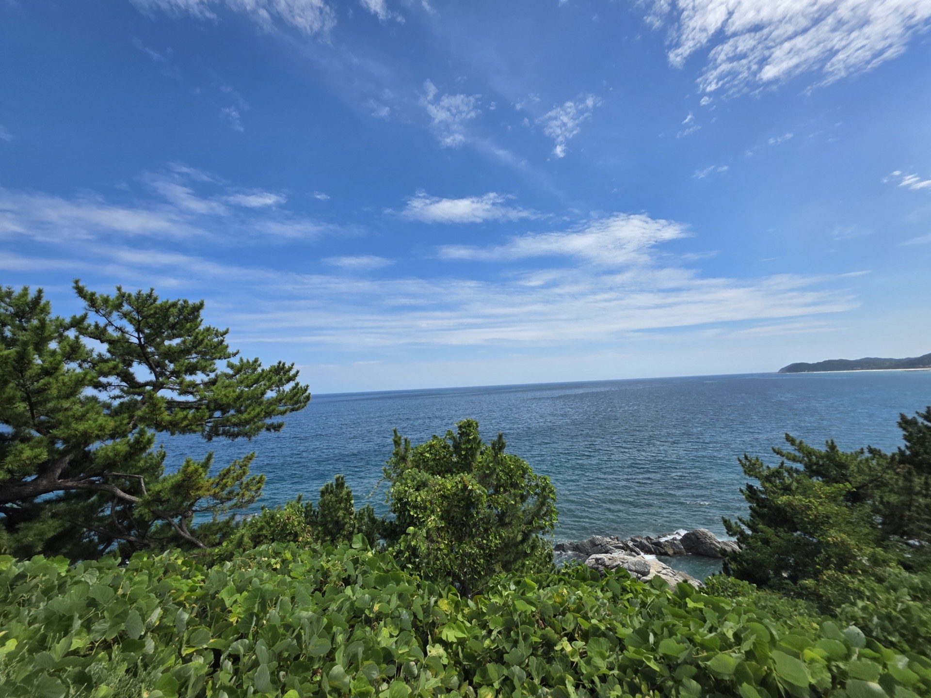 동해안 7번 국도 홀로 여행